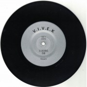 V.I.V.E.K - Illusions Dub